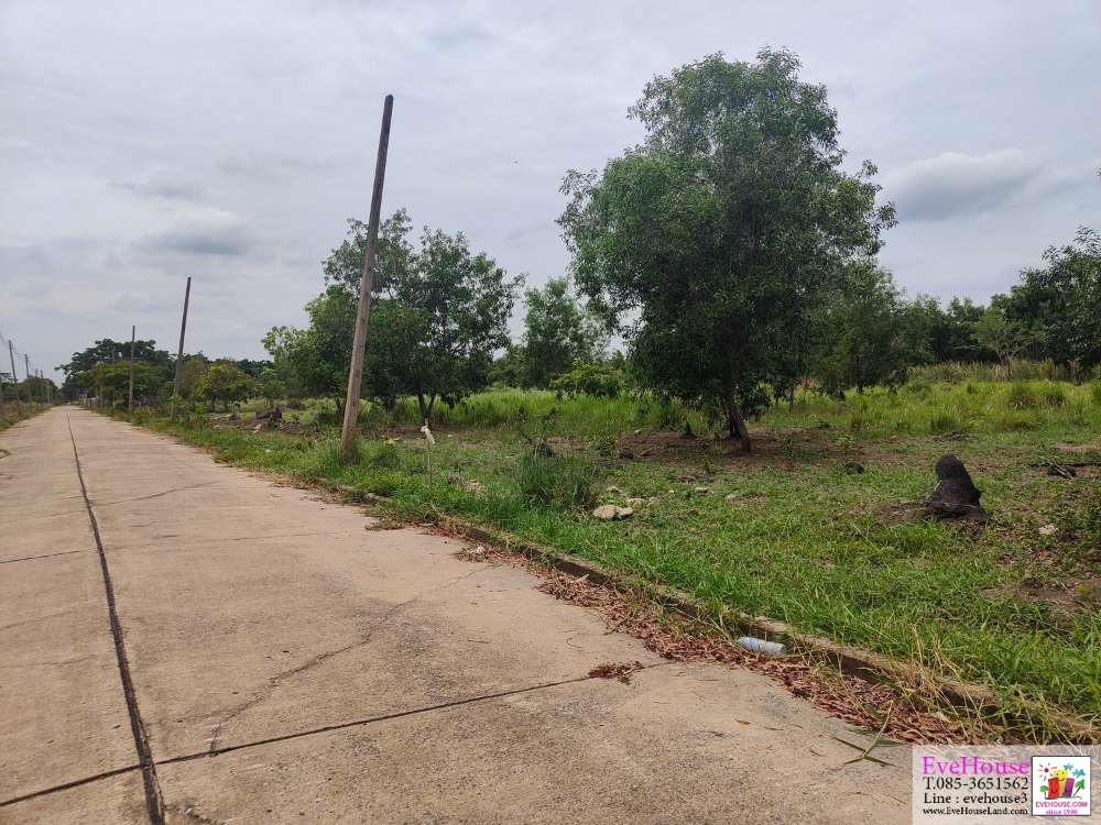 🔥Below appraisal price 6,000/sq.wa. from 7,000!! 4-1-25 rai, World Cup Land Village, Khlong Luang, Pathum Thani, beautiful square shape :  width 73 x 92 m., Kanchanaphisek Rd. (Khlong Luang) 3.2 km., 6 km. from Phahon rd. – รูปที่ 4