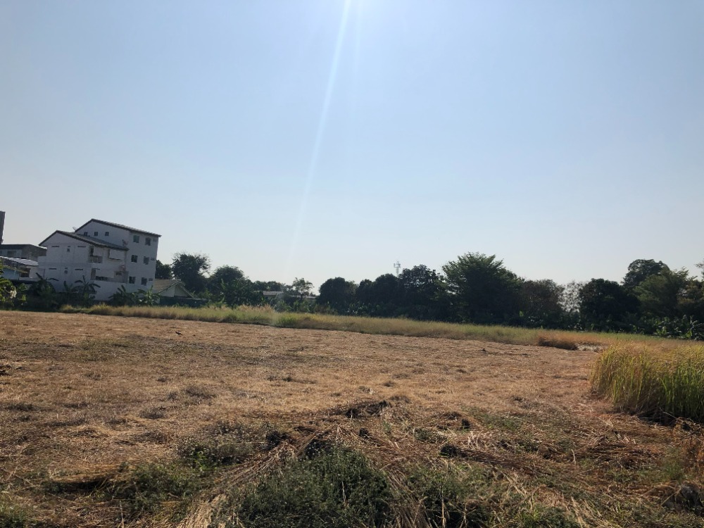 Land for rent, 4 Rai over BTS Bangchak, located in Sukhumvit 97/1, about 800 meters away from BTS – รูปที่ 4