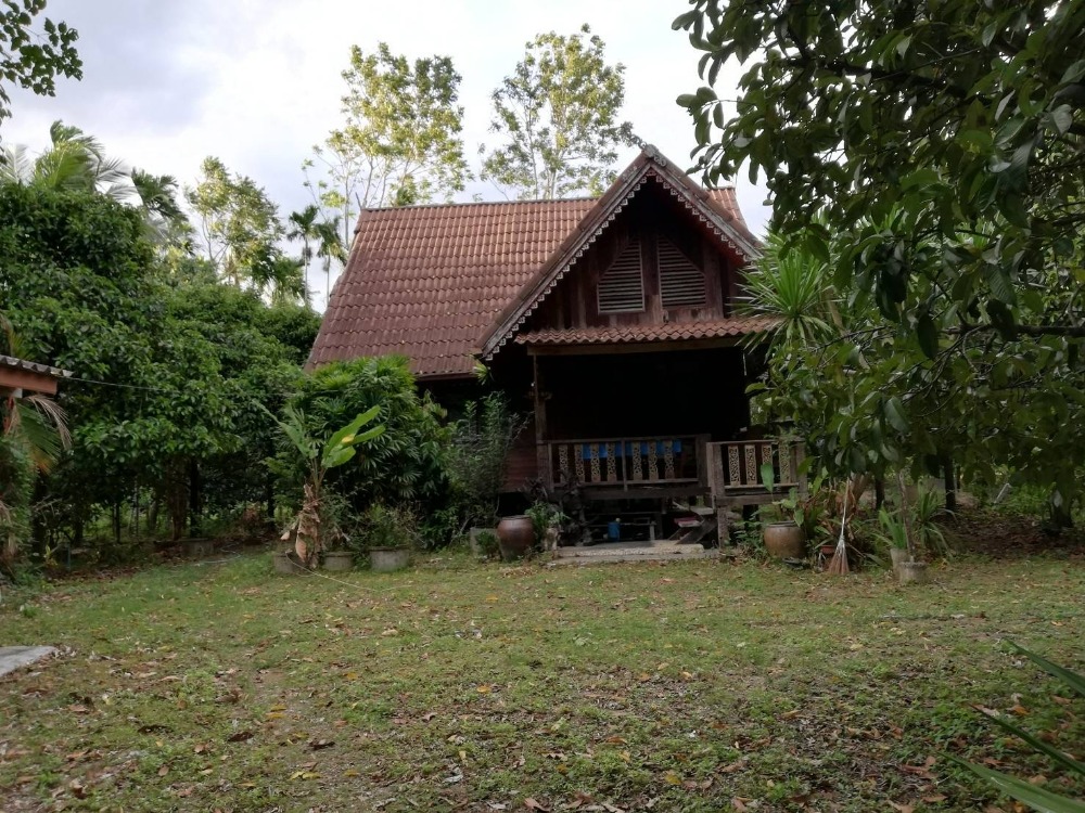 Land for sale near Khiri Wong village. Land for sale near Khiri Wong village.