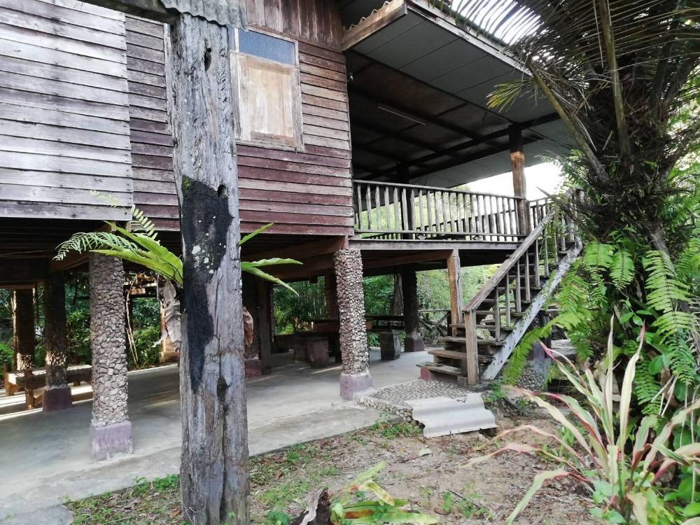 Land for sale near Khiri Wong village. – รูปที่ 2