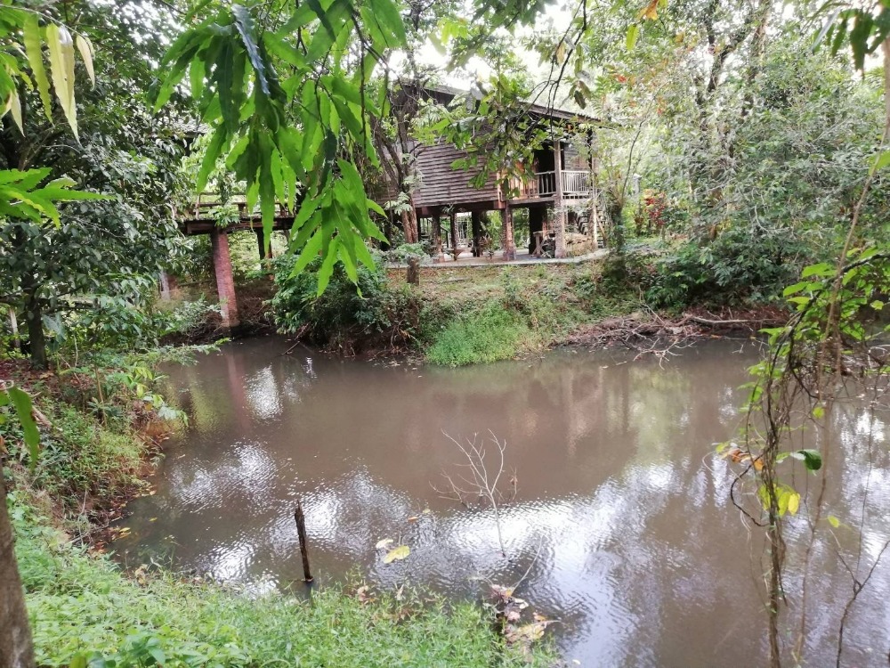 Land for sale near Khiri Wong village. – รูปที่ 3
