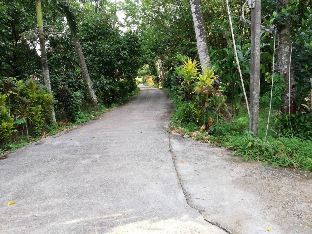 Land for sale near Khiri Wong village. – รูปที่ 4