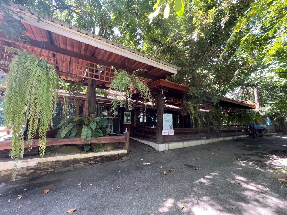 Land for sale with restaurants, cafes and equipment. Can continue doing business. Good location among big trees, good weather, shady on an area of 1 rai, next to Rat Bamrung Road. near Sukhumvit Road near the community – รูปที่ 3