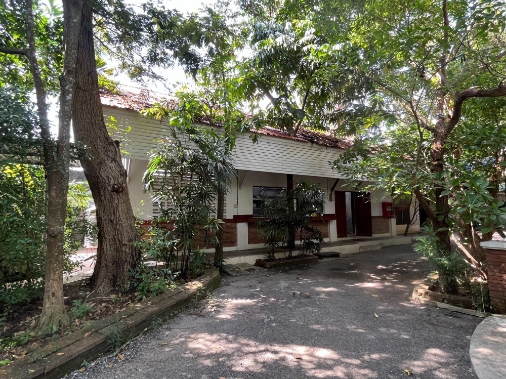 Land for sale with restaurants, cafes and equipment. Can continue doing business. Good location among big trees, good weather, shady on an area of 1 rai, next to Rat Bamrung Road. near Sukhumvit Road near the community – รูปที่ 4