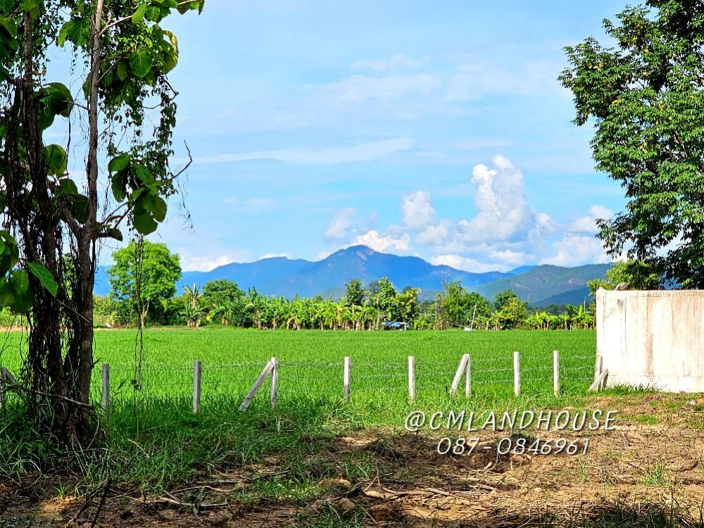 ที่ดินวิวดอยสวย ติดทุ่งนา 228 ตรว. ขายถูก 8500/ตรว. ใกล้ร้านเฮือนใจ๋ยอง อ.สันกำแพง เส้นทางสู่สนามบินใหม่ เส้นทางตรงเข้าเมือง 12 กม. ถนนกว้าง ไม่ต้องเข้าซอยแคบ – รูปที่ 2