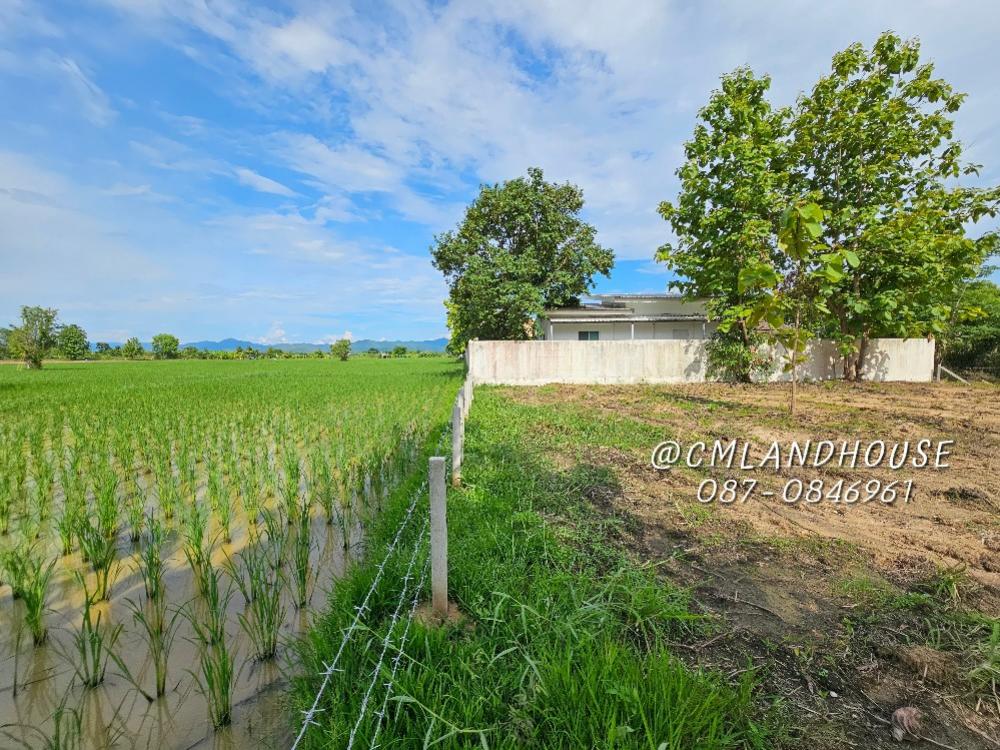 ที่ดินวิวดอยสวย ติดทุ่งนา 228 ตรว. ขายถูก 8500/ตรว. ใกล้ร้านเฮือนใจ๋ยอง อ.สันกำแพง เส้นทางสู่สนามบินใหม่ เส้นทางตรงเข้าเมือง 12 กม. ถนนกว้าง ไม่ต้องเข้าซอยแคบ ที่ดินวิวดอยสวย ติดทุ่งนา 228 ตรว. ขายถูก 8500/ตรว. ใกล้ร้านเฮือนใจ๋ยอง อ.สันกำแพง เส้นทางสู่สนามบินใหม่ เส้นทางตรงเข้าเมือง 12 กม. ถนนกว้าง ไม่ต้องเข้าซอยแคบ