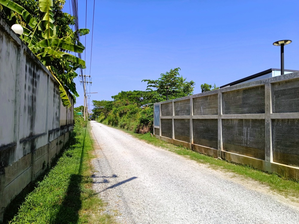 Land for sale 8 Rai 2 Ngan 62 Sq.Wa., Soi Chuen Boon, Rahaeng Subdistrict, Lat Lum Kaew District, Pathum Thani. Near Neo Cosmed Company, Branch 2. Good location. – รูปที่ 3