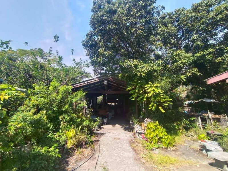 BB63 ขาย ที่ดินพร้อมสิ่งปลูกสร้าง ซอยสันติคาม 10  #ที่ดินถนนสุขุมวิท109 #ที่ดินใกล้BTSแบริ่ง #ที่ดินย่านแบริ่ง #ที่ดินสมุทรปราการ – รูปที่ 2