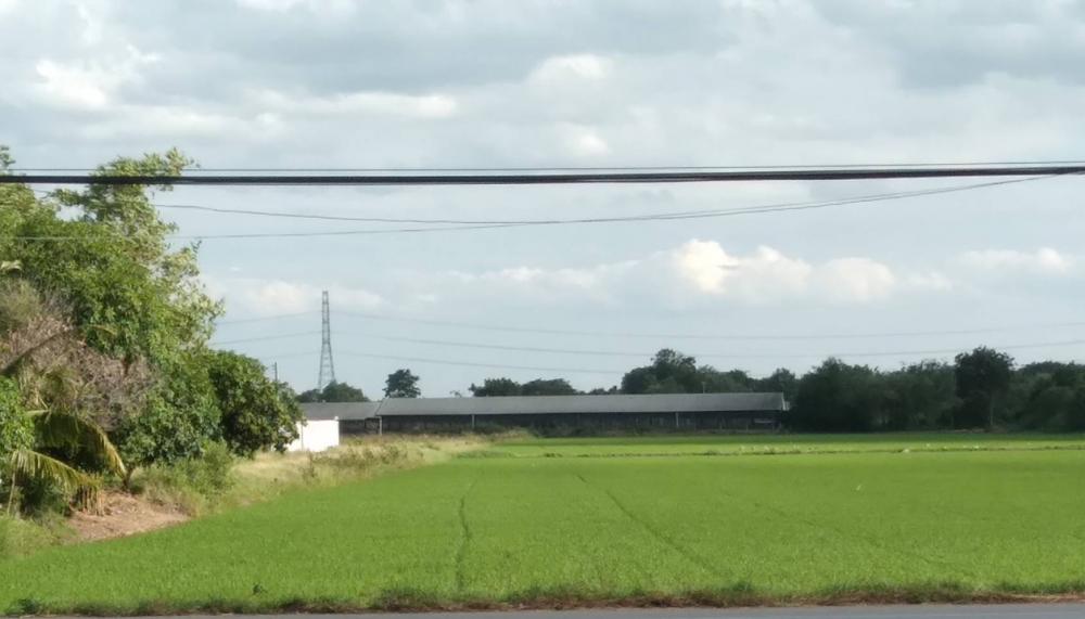 Land for sale on Bang Len - Don Tum Road Land for sale on Bang Len - Don Tum Road