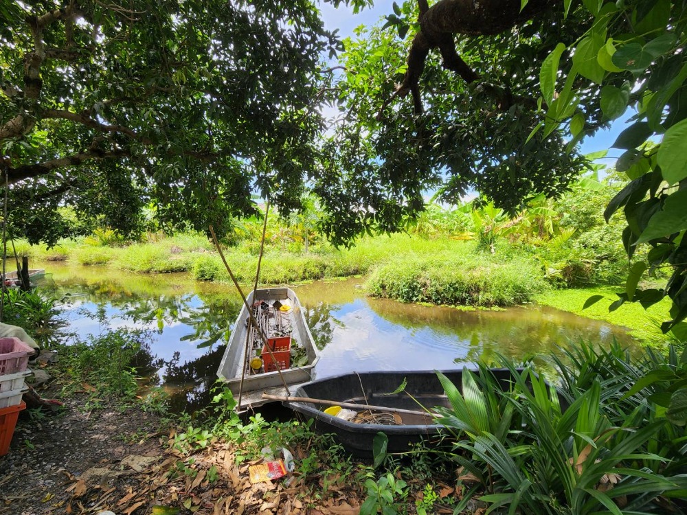 ขาย ที่ดิน 91 ไร่ รังสิต คลอง10 – รูปที่ 2