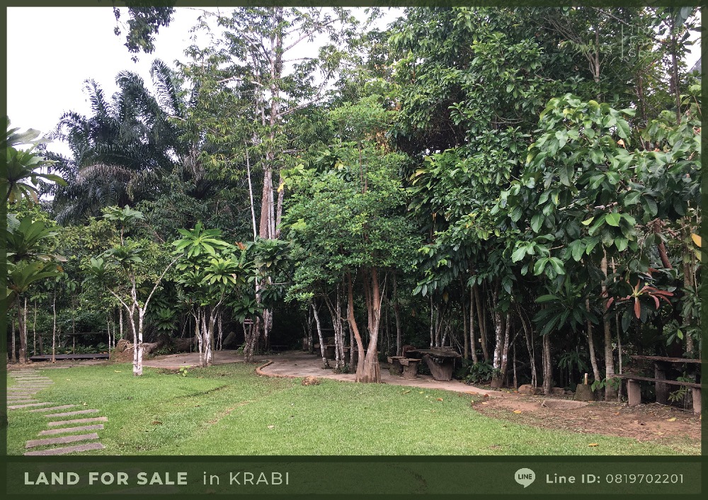 ขายที่ดินทำเลทอง 3 ไร่ 18 ตร.ว. แหล่งท่องเที่ยว วิวสวย ภูเขาล้อมรอบ ใกล้ทะเล ต.อ่าวนาง จ.กระบี่ – รูปที่ 2