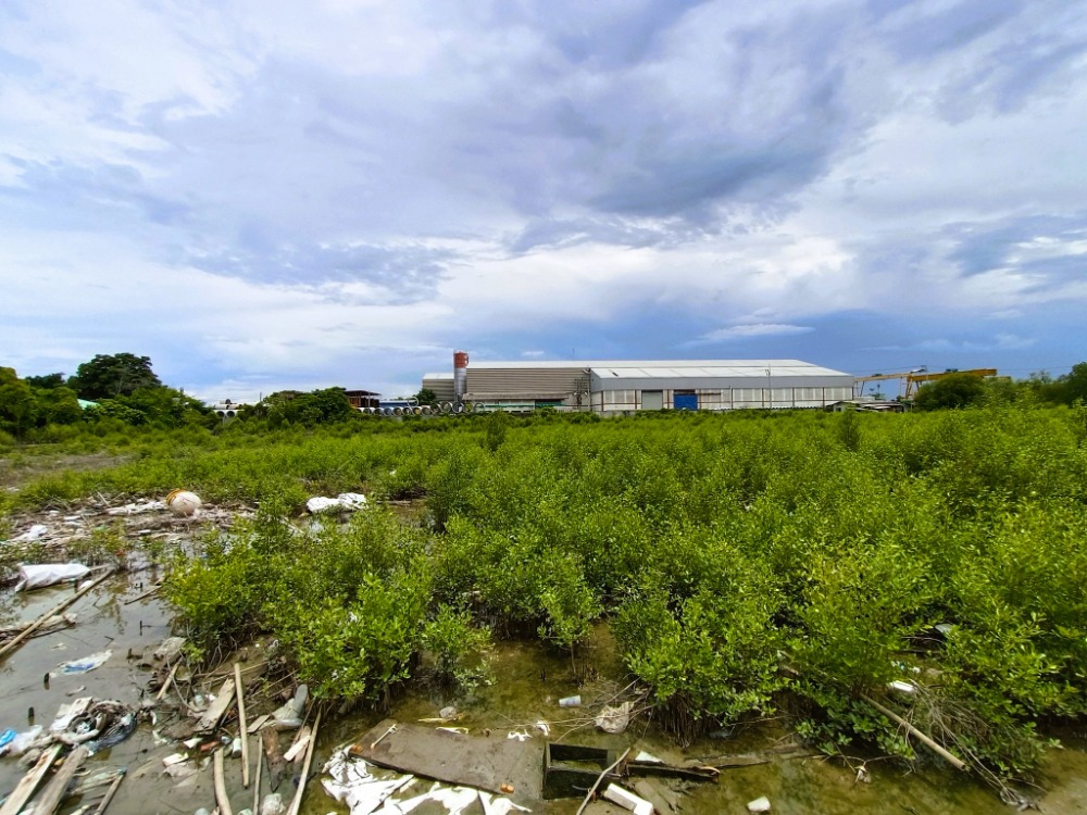 Land for sale 7 Rai 3 Ngan 23 Square Wah, Soi Thetsaban Bang Pu 126/2 (Soi Wat Saeng Tham Buraram), Bang Pu Subdistrict, Mueang Samut Prakan District, Samut Prakan. Near Thai Rung Rueng Industry Co., Ltd., – รูปที่ 3