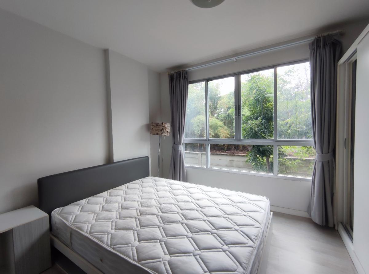 For rent D Condo Hyde Chiang Rai 33 sq m. opposite Central Chiang Rai For rent D Condo Hyde Chiang Rai 33 sq m. opposite Central Chiang Rai