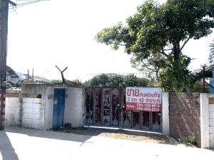 Land for sale with 1 detached house (corner plot) 242 square wah, Soi Ratchadapisek 42 Intersection 6, Lat Yao, Bang Sue, Bangkok.