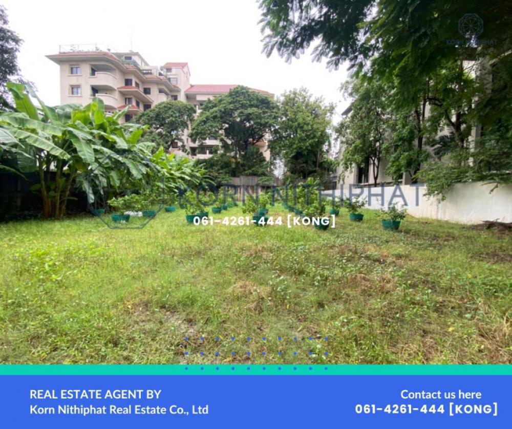 For rent: 1/2 rai land, Soi Ekkamai 10, Sukhumvit 63, business area, famous restaurant, welcome long-term tenants.