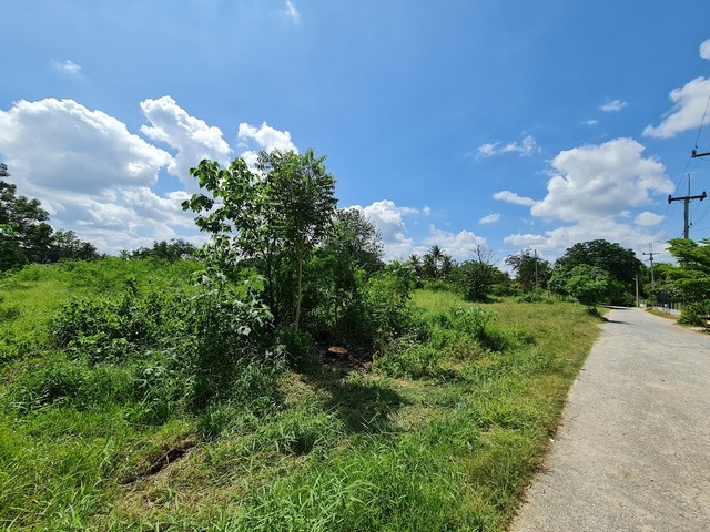 ขายที่ดินปากช่อง นครราชสีมา เนื้อที่ 16-2-29 ไร่ แปลงมุม ติดถนน 2 ด้าน ตำบลหนองสาหร่าย ใกล้ถนนมิตรภาพ – รูปที่ 3