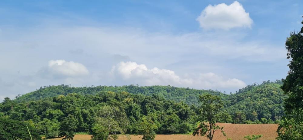 Urgent sale, beautiful land next to Khao Yai, very good price. Interested, can talk to an area of 8 rai than the environment. Next to the luxury giant Convenient location Can go in and out in many ways Urgent sale, beautiful land next to Khao Yai, very good price. Interested, can talk to an area of 8 rai than the environment. Next to the luxury giant Convenient location Can go in and out in many ways