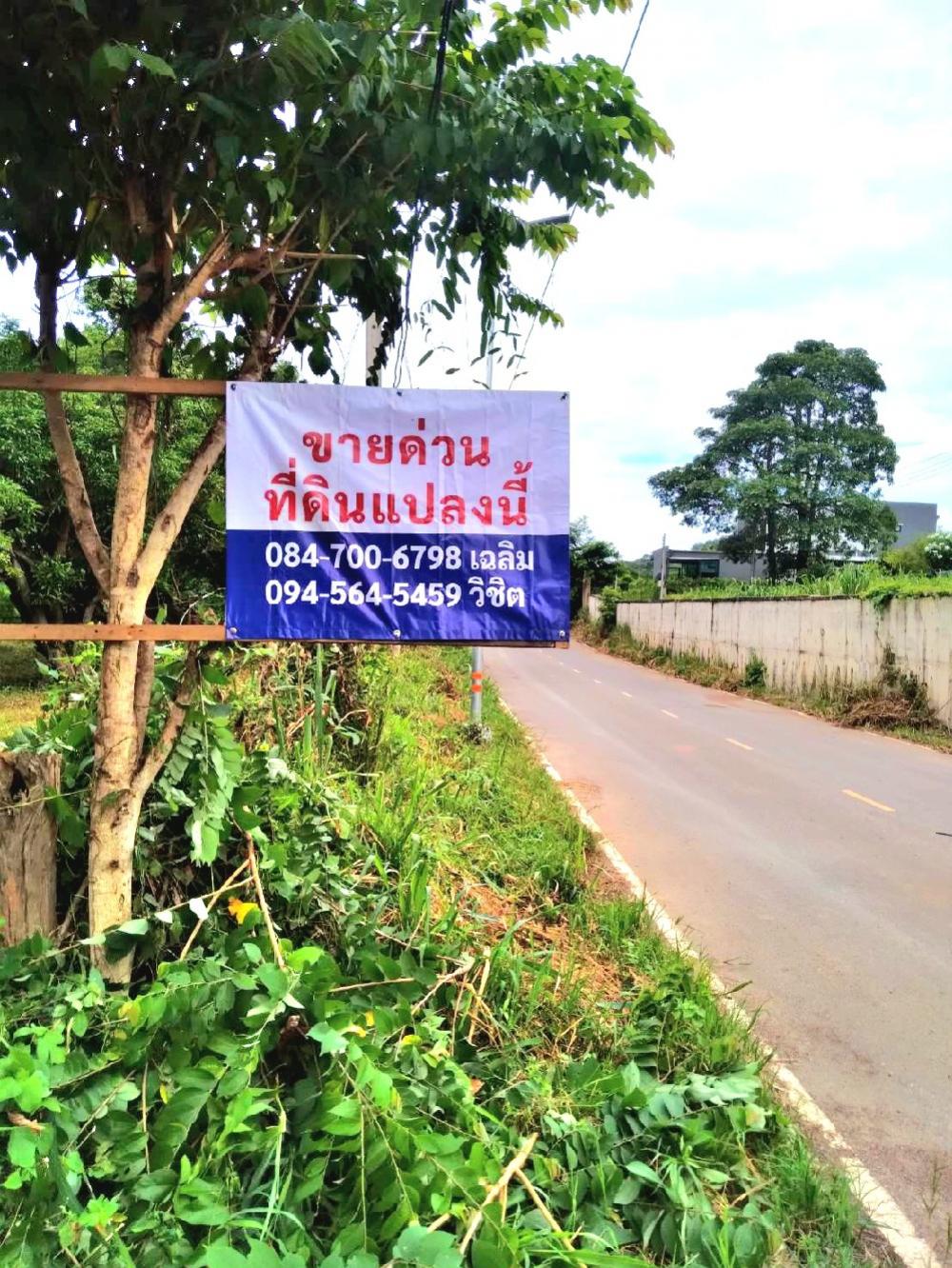 Urgent sale, beautiful land next to Khao Yai, very good price. Interested, can talk to an area of ​​8 rai than the environment. Next to the luxury giant Convenient location Can go in and out in many ways – รูปที่ 4