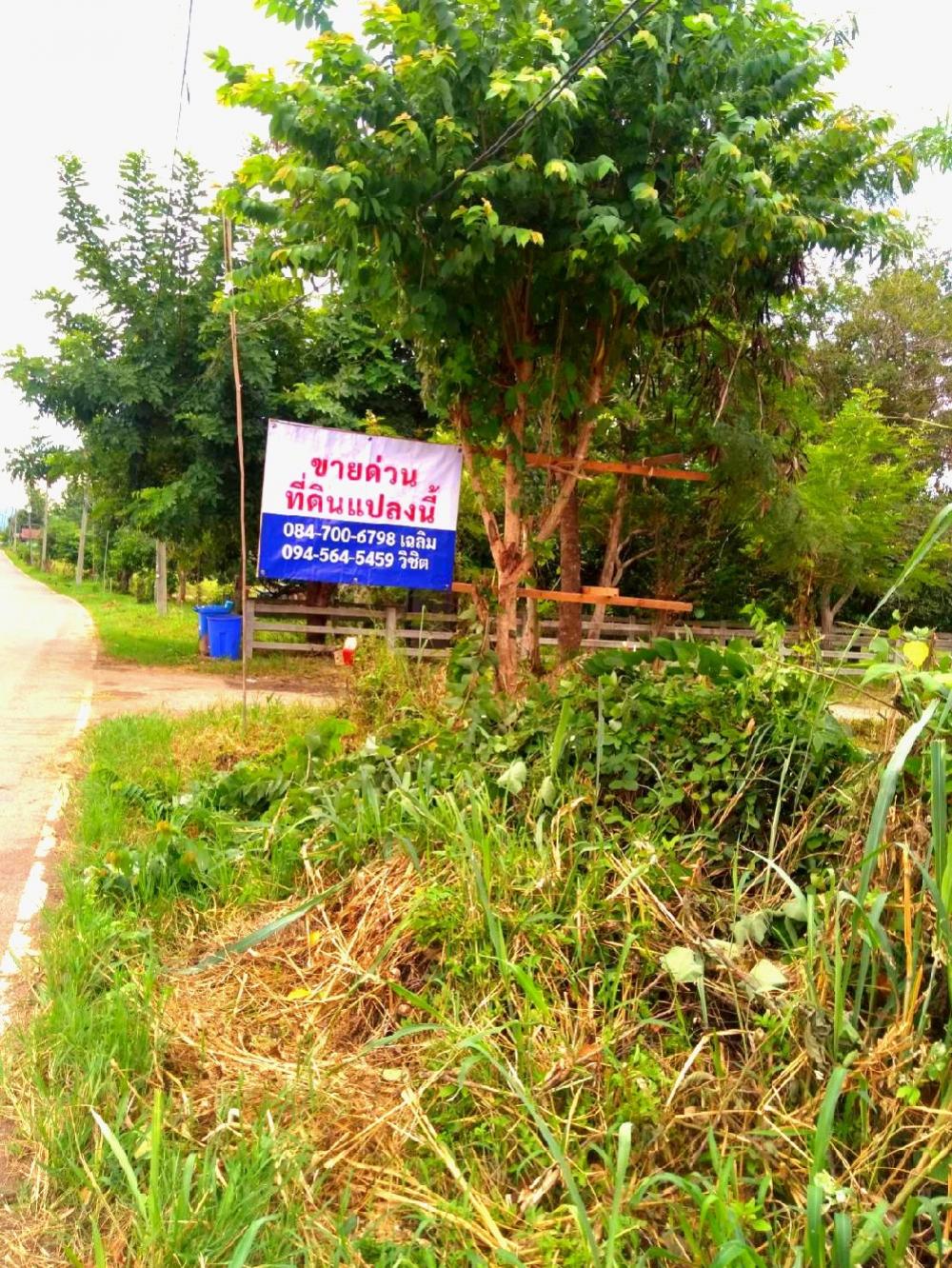 Urgent sale, beautiful land next to Khao Yai, very good price. Interested, can talk to an area of ​​8 rai than the environment. Next to the luxury giant Convenient location Can go in and out in many ways – รูปที่ 3