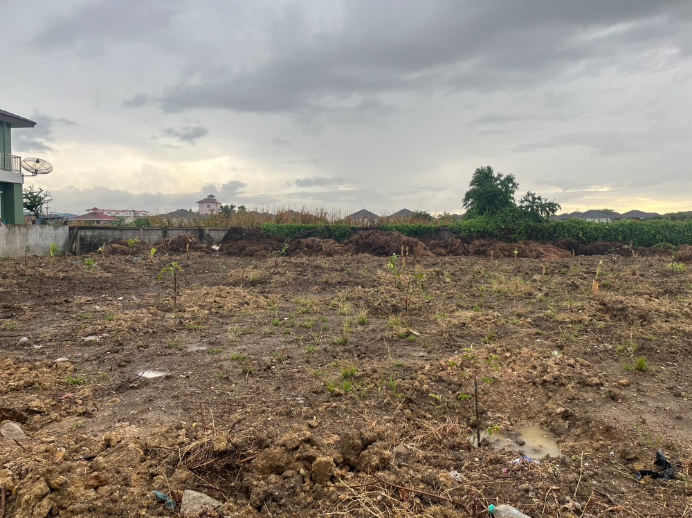 Land for sale, Taweewattana, Phutthamonthon Sai 3, area 225 square wah, electricity, water, ready concrete road, cheap price, near the World Market.