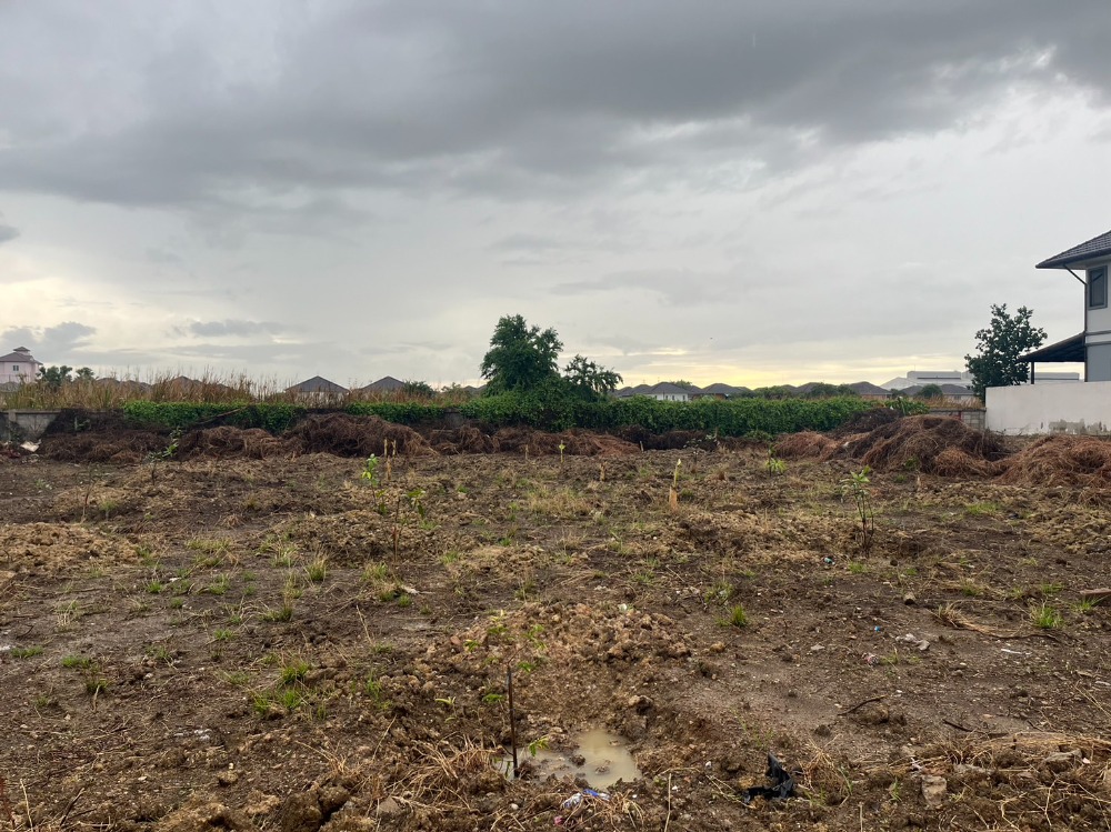Land for sale, Taweewattana, Phutthamonthon Sai 3, area 225 square wah, electricity, water, ready concrete road, cheap price, near the World Market. – รูปที่ 2