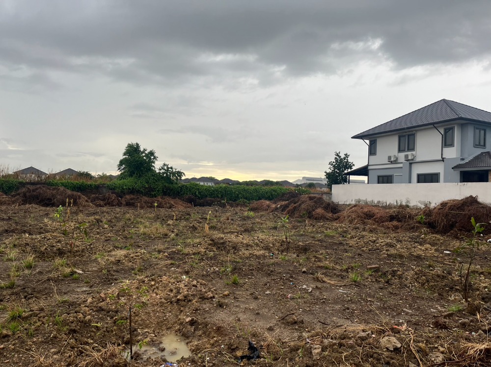 Land for sale, Taweewattana, Phutthamonthon Sai 3, area 225 square wah, electricity, water, ready concrete road, cheap price, near the World Market. – รูปที่ 3