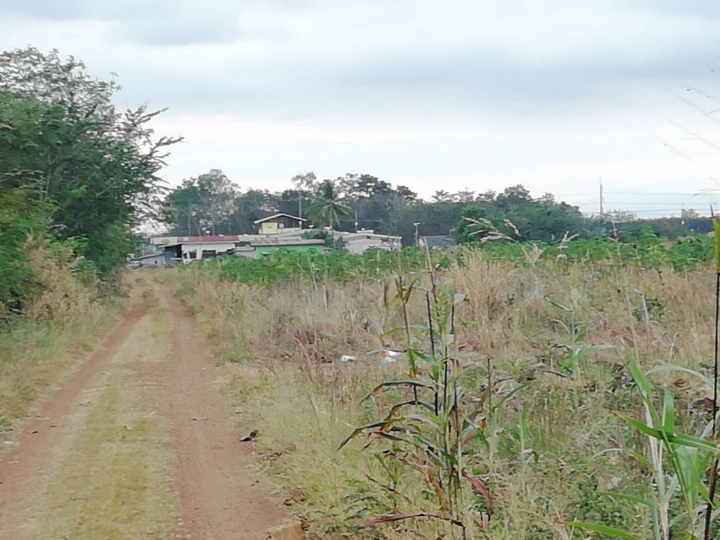 Land for sale near Wang Nam Yen Hospital Chanthaburi-Sa Kaeo Road, 39-2-38 Rai, Sa Kaeo – รูปที่ 4