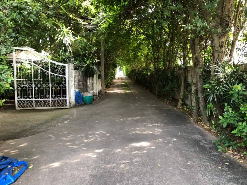 ขายบ้านเดี่ยวพร้อมที่ดินวชิรธรรมสาธิต อุดมสุข สุขุมวิท 101/1 ที่ดิน 1ไร่ 2 งาน แปลงสวยมาก ใกล้ BTS ปุณณวิถี อุดมสุข ใกล้ทางด่วนบางนา,สุขุมวิท 62 ออกศรีนครินทร์ บางนาสะดวกมาก 087-9074045 – รูปที่ 3