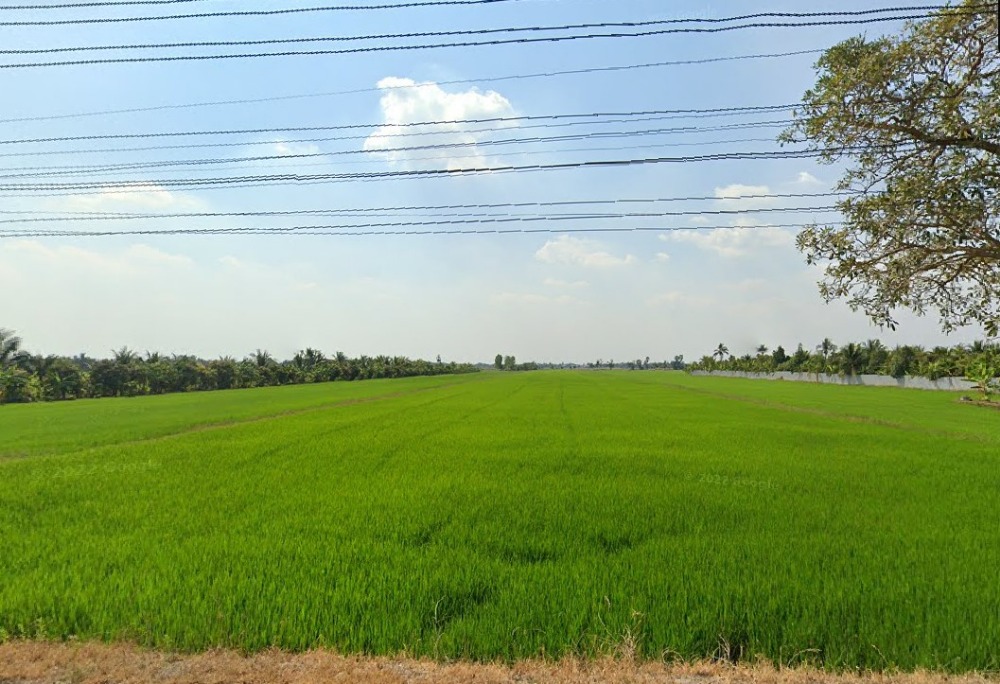 ขายที่ดิน 14ไร่ อ.ลาดหลุมแก้ว ปทุมธานี ใกล้อบต.บ่อเงิน ขายที่ดิน 14ไร่ อ.ลาดหลุมแก้ว ปทุมธานี ใกล้อบต.บ่อเงิน