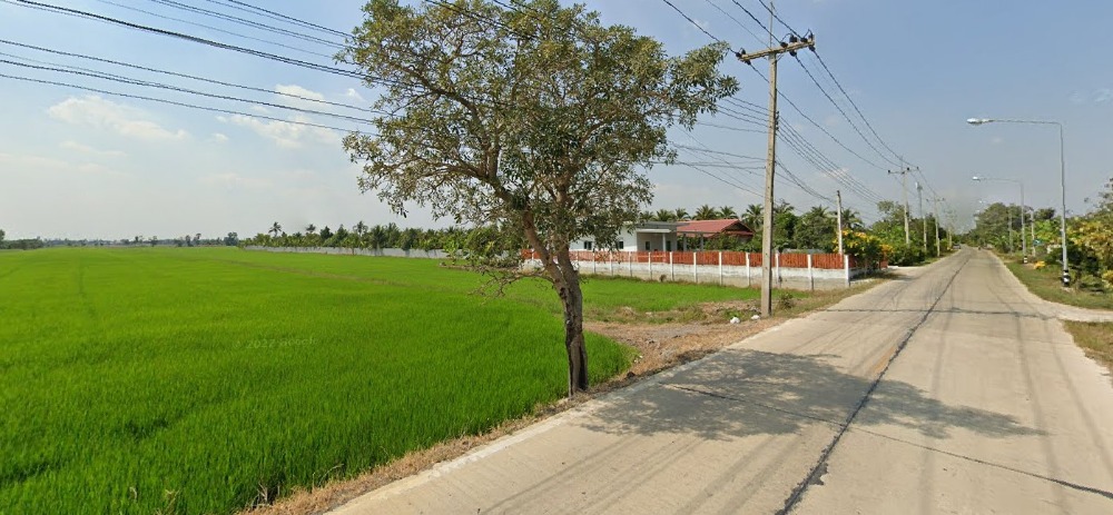 ขายที่ดิน 14ไร่ อ.ลาดหลุมแก้ว ปทุมธานี ใกล้อบต.บ่อเงิน – รูปที่ 3