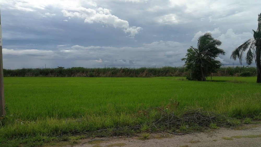 2 rai of agricultural land for sale, Don Tum, Nakhon Pathom, suitable for a house, agriculture, fishing. 2 rai of agricultural land for sale, Don Tum, Nakhon Pathom, suitable for a house, agriculture, fishing.