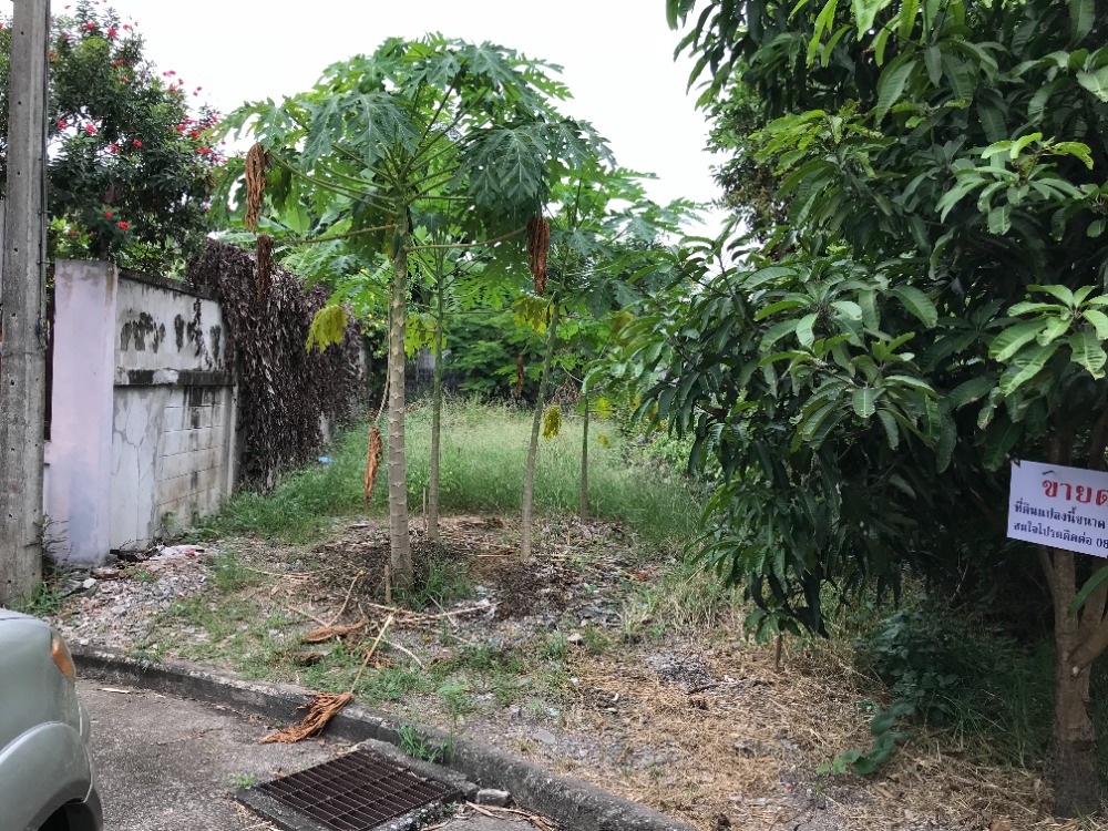 **Urgent** Land for sale In the village of Krisada Nakhon 25, size 138 sq m.