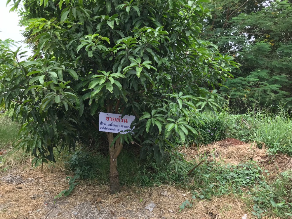 **Urgent** Land for sale In the village of Krisada Nakhon 25, size 138 sq m. – รูปที่ 2