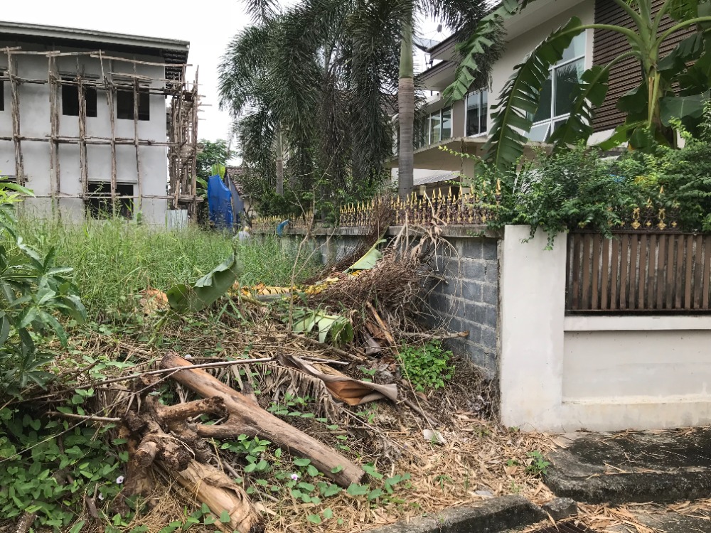 **Urgent** Land for sale In the village of Krisada Nakhon 25, size 138 sq m. – รูปที่ 3