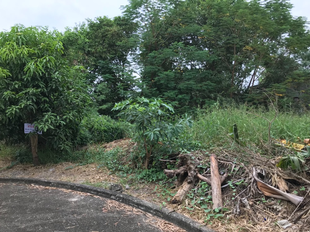 **Urgent** Land for sale In the village of Krisada Nakhon 25, size 138 sq m. – รูปที่ 4