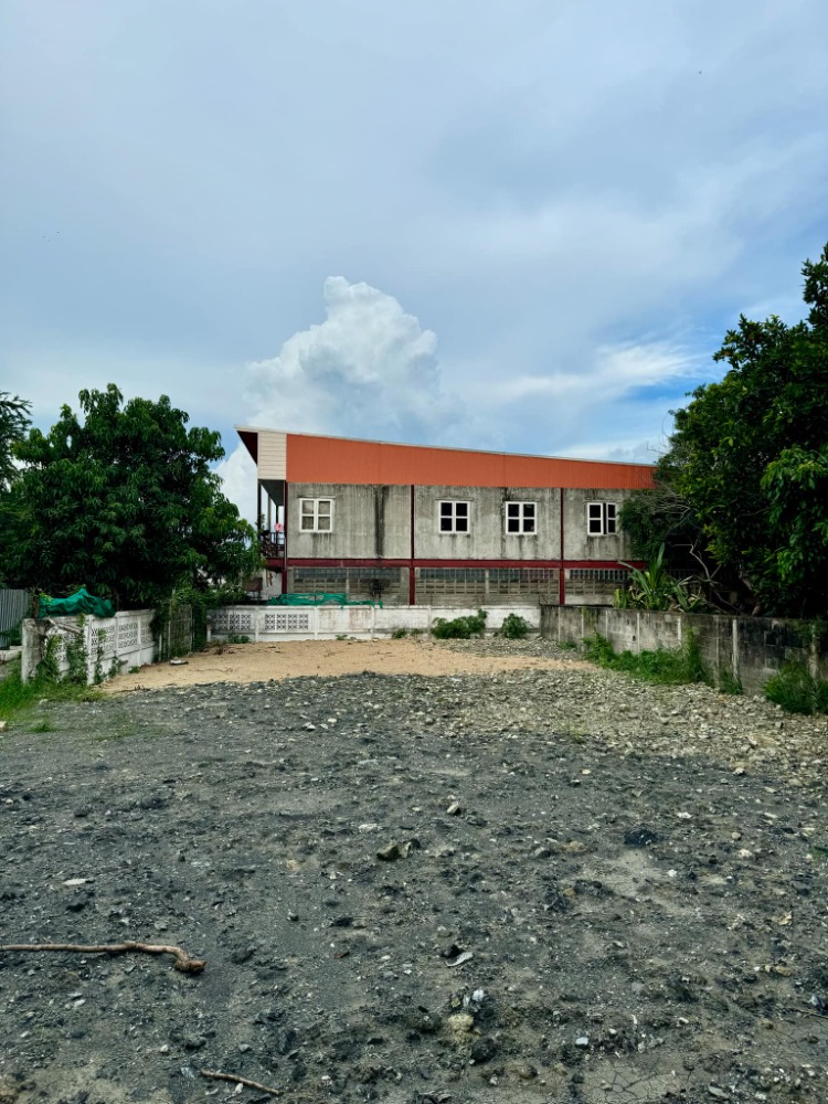 ขายที่ดินในตัวเมืองอำเภอปากช่อง🌼