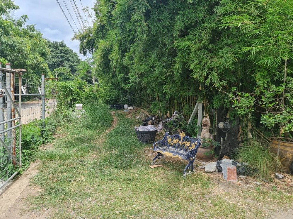 Empty land for sale, area 6 rai 99 sq m. (3 title deeds) next to Soi Erawan 21 Road #Khlong Song Subdistrict #Khlong Luang District #Pathum Thani Province Good location with a future worth investing in Convenient travel – รูปที่ 4