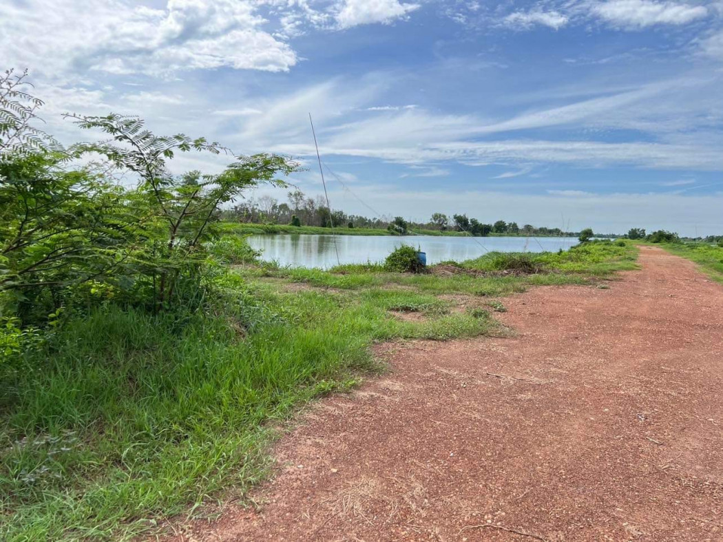 ขาย ที่ดิน ติดถนนใหญ่ องครักษ์ เนื้อที่ 85 ไร่ – รูปที่ 4