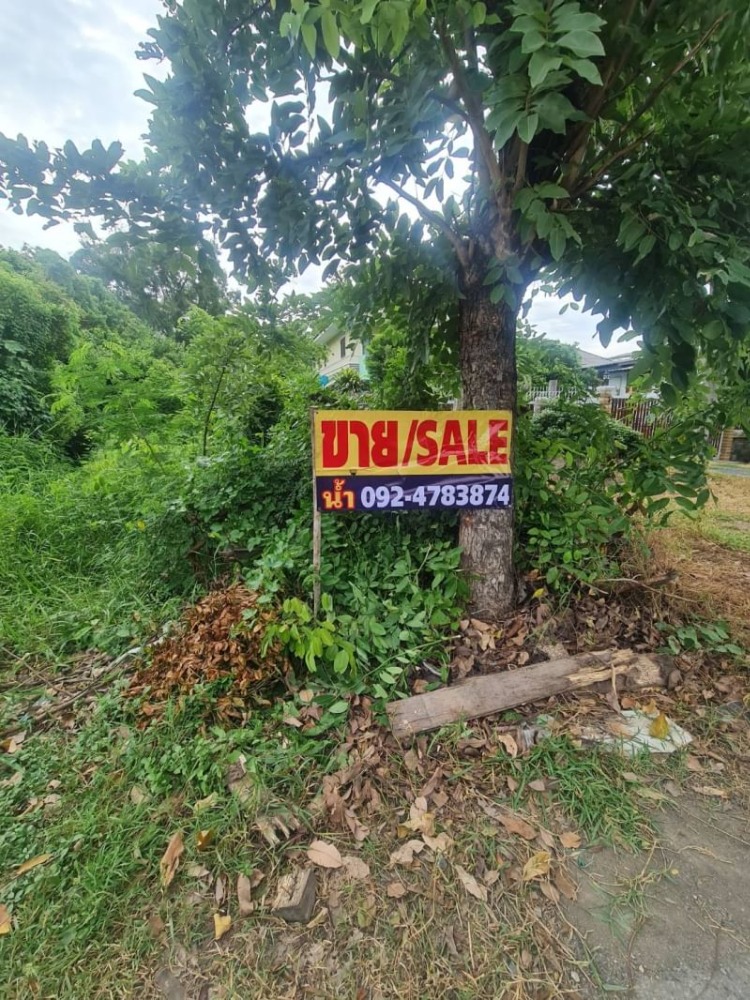 ขายถูก!!! ที่ดิน 907 ตรว. ทำเลดี  ติดถนนเลียบคลองเปรมประชากร บางพูด สวนพริกไทย วัดดาวเรือง