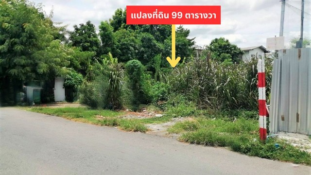 ขายที่ดิน 99 ตรว. ติดถนนสาธารณะ คอนกรีต เข้าซอย วัดเวฬุวนาราม 9 แค่ 100 เมตร เป็นชุมชนเจริญมาก น้ำ ไฟฟ้า พร้อม ใกล้ตลาด เซเว่น แนวรถไฟฟ้าสายสีแดง ดอนเมือง กรุงเทพฯ ขายที่ดิน 99 ตรว. ติดถนนสาธารณะ คอนกรีต เข้าซอย วัดเวฬุวนาราม 9 แค่ 100 เมตร เป็นชุมชนเจริญมาก น้ำ ไฟฟ้า พร้อม ใกล้ตลาด เซเว่น แนวรถไฟฟ้าสายสีแดง ดอนเมือง กรุงเทพฯ