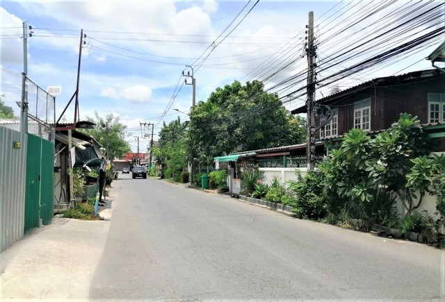 ขายที่ดิน 99 ตรว. ติดถนนสาธารณะ คอนกรีต เข้าซอย วัดเวฬุวนาราม 9 แค่ 100 เมตร เป็นชุมชนเจริญมาก น้ำ ไฟฟ้า พร้อม ใกล้ตลาด เซเว่น แนวรถไฟฟ้าสายสีแดง ดอนเมือง กรุงเทพฯ – รูปที่ 4