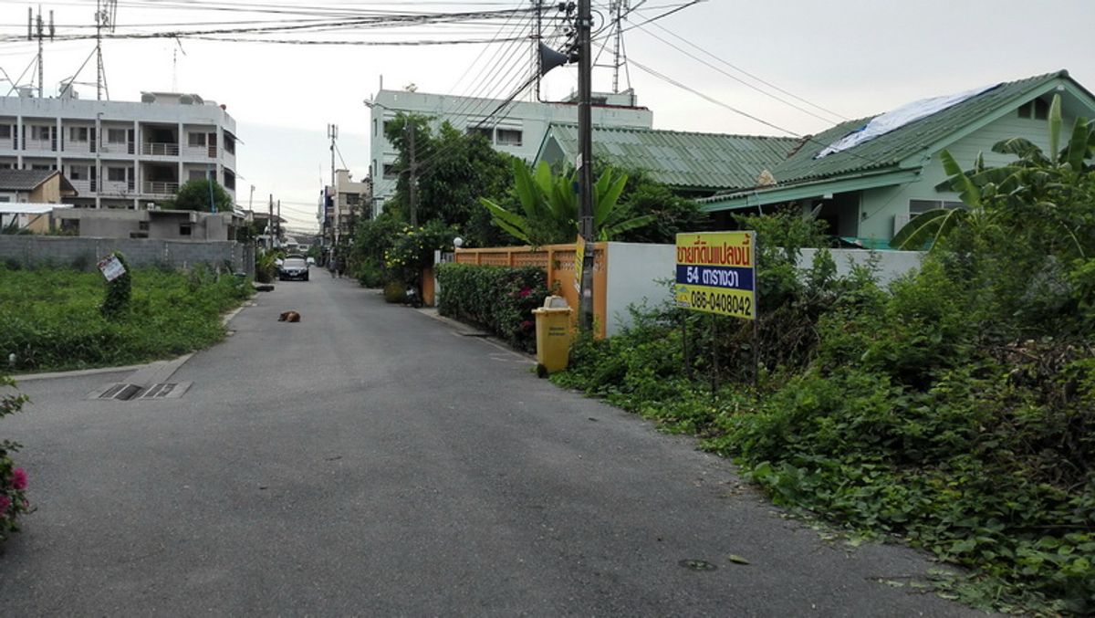 H506 ขายที่ดินราคาถูก  54 ตร.วา อยู่ซอยเพิ่มสิน20  แยก7  ถนนคอนกรีต    ทำเลดี    เข้าออกหลายทาง   เหมาะปลูกบ้าน – รูปที่ 2