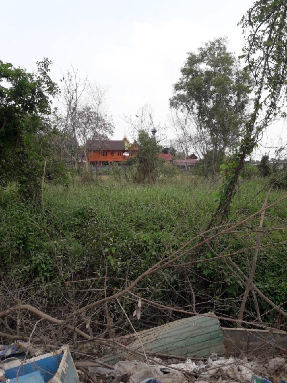 ❤️❤️❤️Land for sale, Khlong 4, Khlong Luang District, Pathum Thani Province, size 200 sq m, reduced from 1.35 million, price only Only 1.2 million. Interested line/tel 0859114585 ❤️❤️ Land opposite the temple. – รูปที่ 2