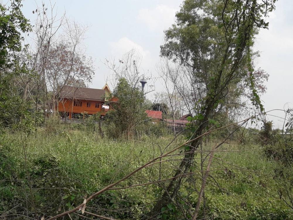 ❤️❤️❤️Land for sale, Khlong 4, Khlong Luang District, Pathum Thani Province, size 200 sq m, reduced from 1.35 million, price only Only 1.2 million. Interested line/tel 0859114585 ❤️❤️ Land opposite the temple. – รูปที่ 3
