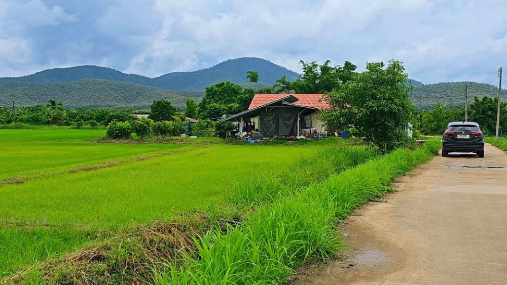 ที่นาวิวสวย 5-3-41 ไร่ ขายถูก ไร่ละ 400,000 ใกล้ร้านสิริเมืองป๊าว ใกล้วัดป่าอาจารย์มั่นภูริทัตโต อ.พร้าว มีน้ำ-ไฟ อยู่ในชุมชน – รูปที่ 3