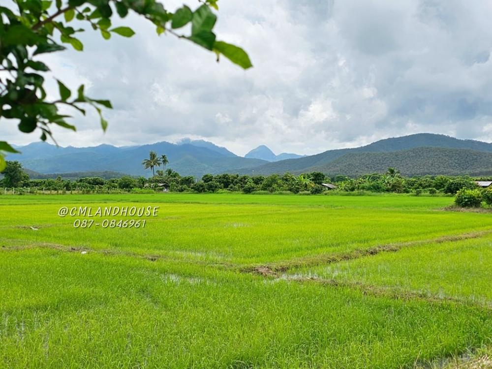 ที่นาวิวสวย 5-3-41 ไร่ ขายถูก ไร่ละ 400,000 ใกล้ร้านสิริเมืองป๊าว ใกล้วัดป่าอาจารย์มั่นภูริทัตโต อ.พร้าว มีน้ำ-ไฟ อยู่ในชุมชน – รูปที่ 4
