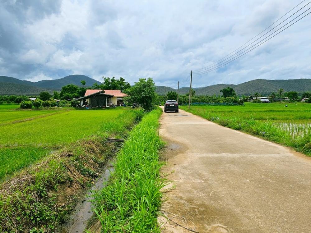 ที่นาวิวสวย 5-3-41 ไร่ ขายถูก ไร่ละ 400,000 ใกล้ร้านสิริเมืองป๊าว ใกล้วัดป่าอาจารย์มั่นภูริทัตโต อ.พร้าว มีน้ำ-ไฟ อยู่ในชุมชน – รูปที่ 2