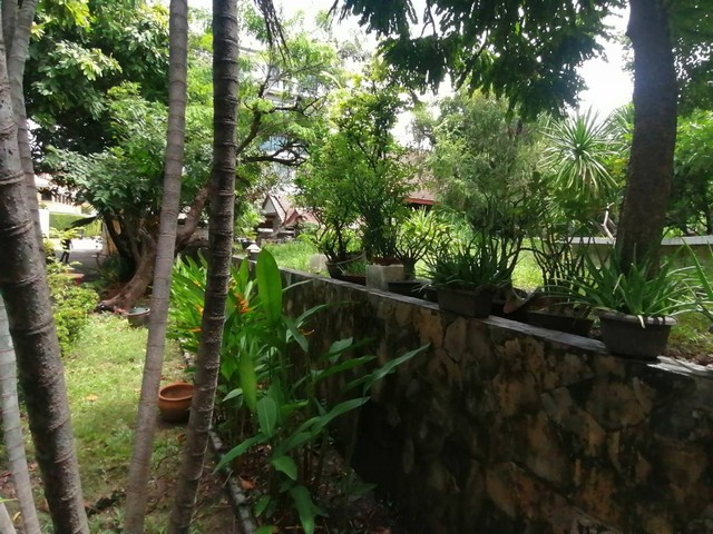 ขายที่ดินถมแล้ว 2-0-23 ไร่ สะพานควาย -สุทธิสารวินิจฉัย ใกล้รถไฟฟ้า BTS สะพานควาย ที่ดินเข้าซอยประมาณ 350 เมตร ซ. อินทามาระ 3 กรุงเทพ – รูปที่ 4
