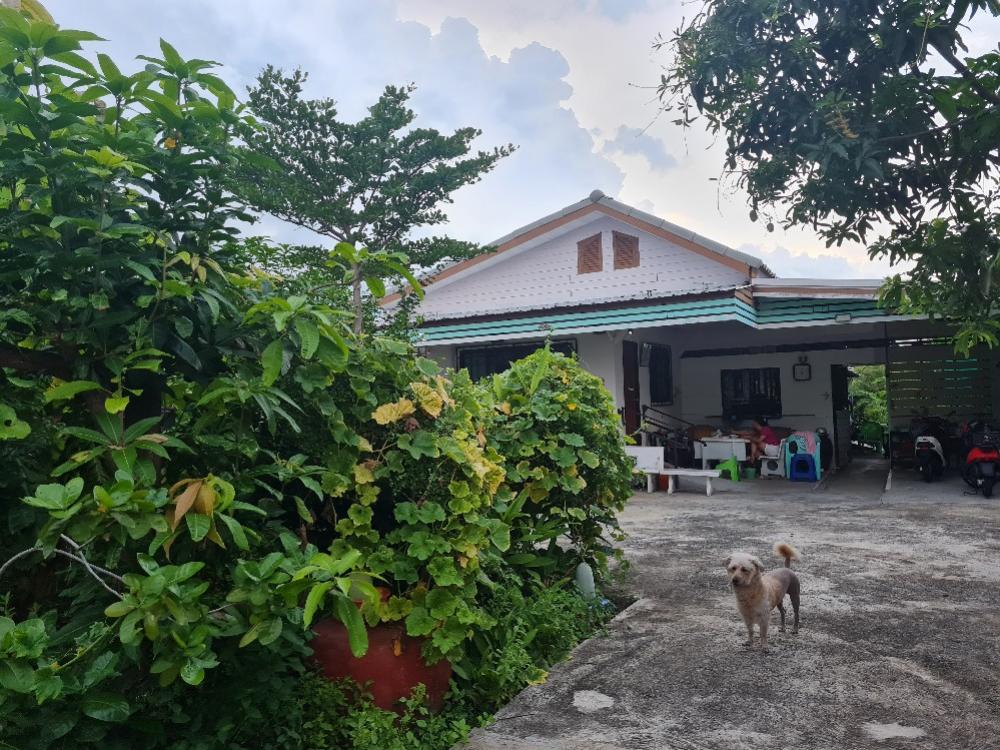 Land for sale, Soi Lat Phrao 101 – รูปที่ 4