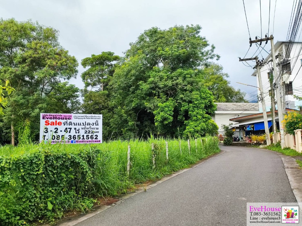 Land for sale, Huai Kaew Road, Chang Phueak, in front of CMU. next to the road on 3 sides 3-2-47 rai